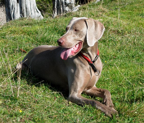 Freika auf dem Fockenstein (21.10.2008) 