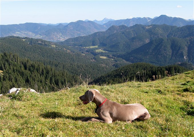 Freika auf dem Fockenstein (21.10.2008)
