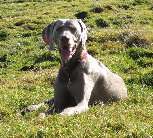 Freika auf dem Fockenstein (21.10.2008)
