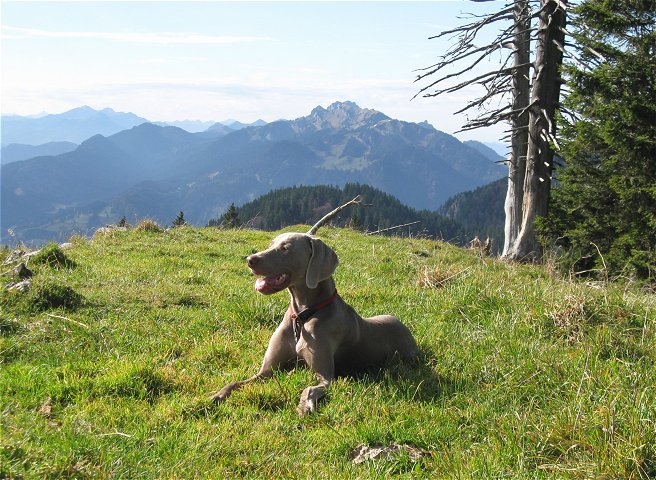 Freika auf dem Fockenstein (21.10.2008)
