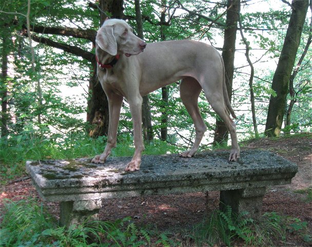 Bei Grnwald (12.7.2011)<br />