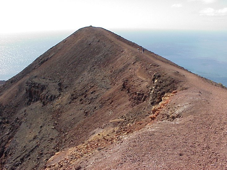 Teneguia